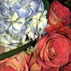 Meet your Posher, Maite